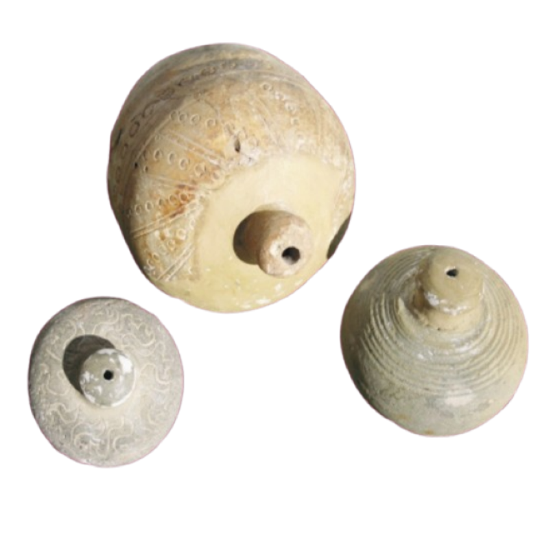 Жұмыртастар