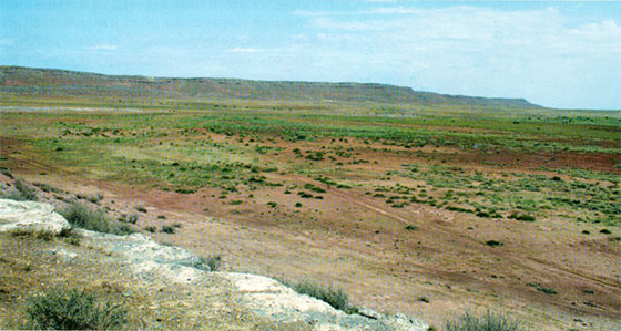 Бөріқазған тұрағы, төменгі палеолит