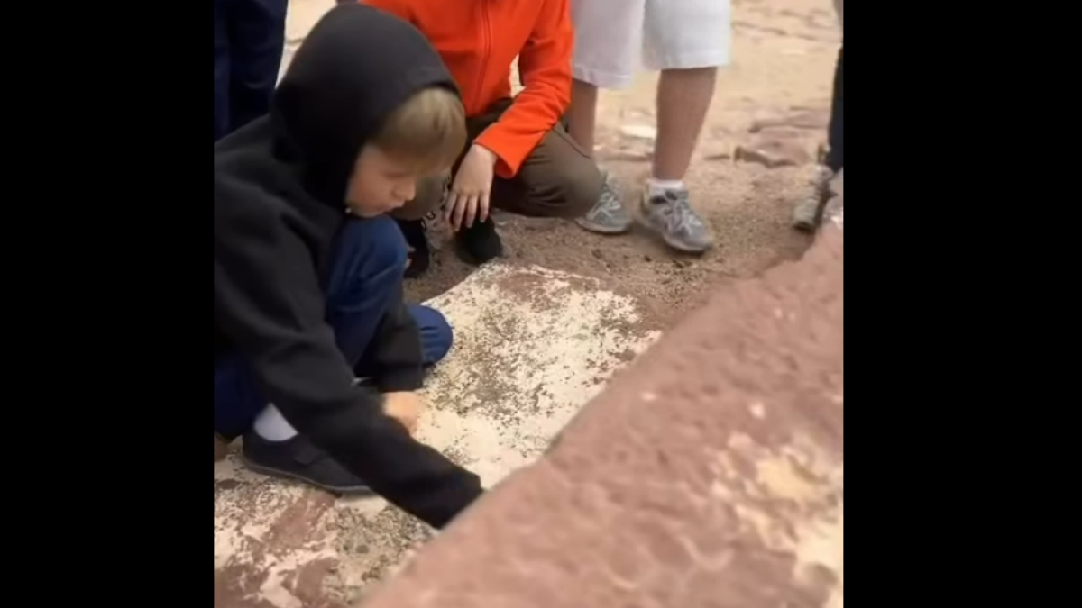 Балаларды қорғау күніне орай танымдық экскурсия өтті