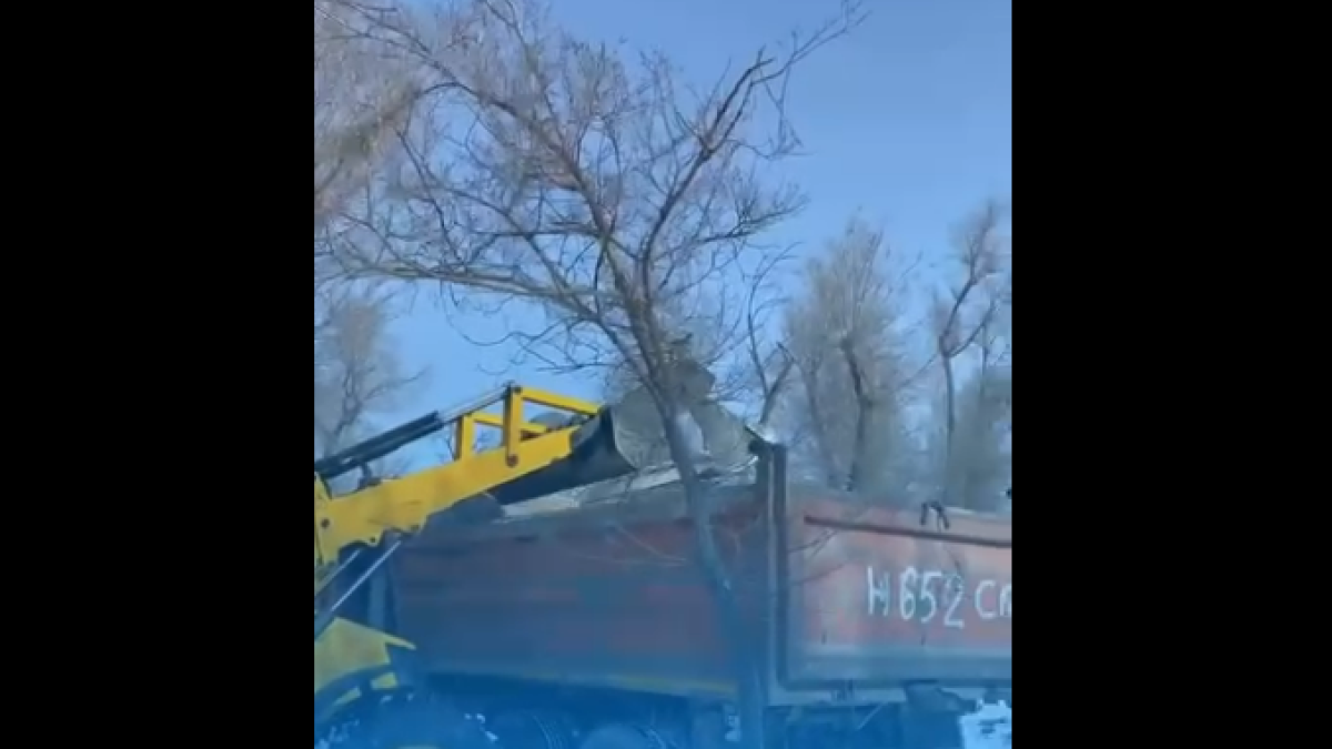 ТАЗАЛЫҚ ТОЛАСТАМАЙДЫ