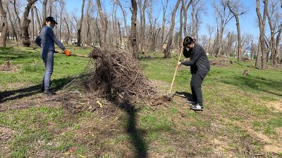 Абаттандыру, көгалдандыру және бояу жұмыстары