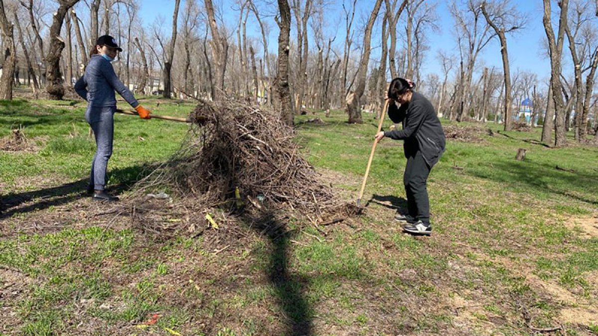 Абаттандыру, көгалдандыру және бояу жұмыстары