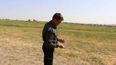 Күміс дирхемдер көмбесі табылған жерге барды