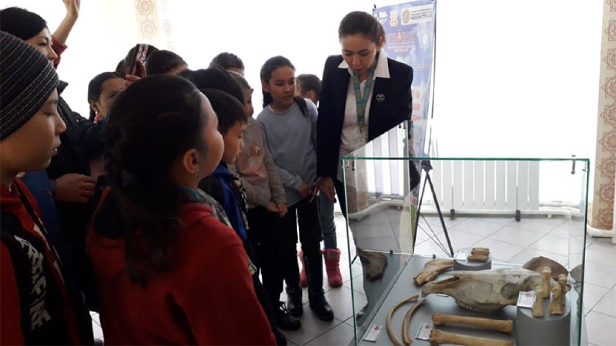 Мектеп оқушыларына арналған экскурсия өткізілді