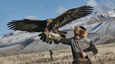 Құсбегілік – қазақ салт-дәстүрінің ажырамас бір бөлігі