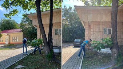 Маусымдық тазалық жұмыстары жалғасуда