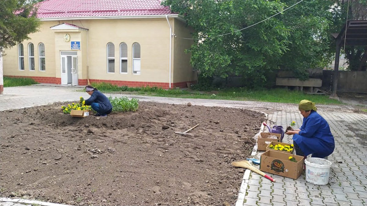 Көгалдандыру жұмыстары жалғасуда