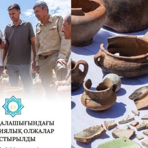 Сотрудники музея-заповедника посетили раскопки и ознакомились с ходом исследовательских работ